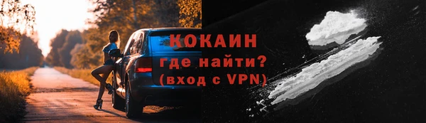 прущие грибы Абинск