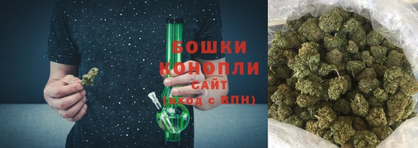 прущие грибы Абинск