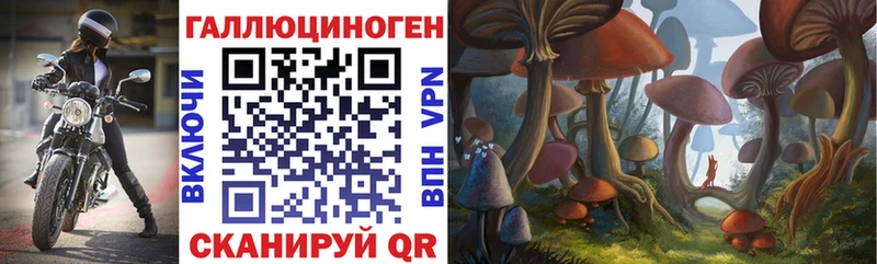 KRAKEN как зайти  Ува  Псилоцибиновые грибы Cubensis 